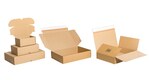 Automatikbodenkarton DHL-Kleinpaket 348x248x78mm (Auenma) Selbstklebeverschluss